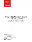 Diagnóstico Financiero de una Sociedad Anónima