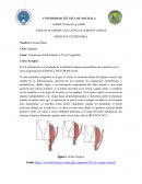 Alteraciones urogenitales embriologicas