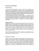 ANÁLISIS DEL MACROENTORNO