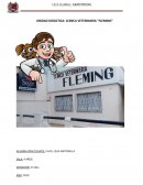 Unidad didáctica. La veterinaria