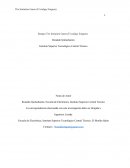 Ensayo de la pelicula codigo enigma