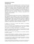 Semiología de los colores