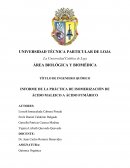 INFORME DE ISOMERIZACIÓN DEL ÁCIDO MALEICO A ÁCIDO FUMÁRICO