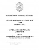TALLER VALORACIÓN DE LAS ASPECTOS AMBEINTALES