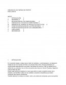 Fuerzas de porter papa jhons