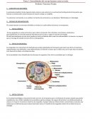 CONCEPTO DE ANATOMÍA