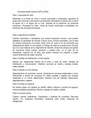 Business Model Canvas: BOTILLERIA