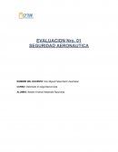 Ensayo seguridad aeronautica