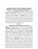 DOCUMENTO CONSTITUTIVO–ESTATUTARIO DE LA SOCIEDAD MERCANTIL “ACADEMIA Y AGENCIA DE MODELOS E&S, C. A.”