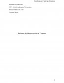 Informe de Observación de Terreno