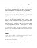 El sistema primario en México