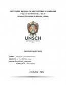 Proceso afectivo