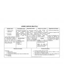 LIENZO CANVAS (Multi Pen)