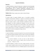 Ingenieria hidraulica