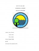 Estado de la cuestion