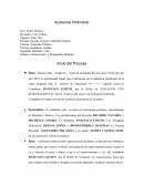 Guión Audiencia Preliminar