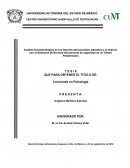 Análisis fenomenológico de los factores psicosociales laborales y la relación con el Síndrome de Burnout del personal de seguridad de un Centro Penitenciario