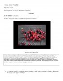 Tarea fol equipos de trabajo