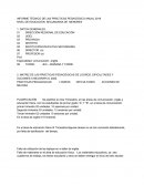 INFORME TÉCNICO DE LAS PRÁCTICAS PEDAGÓGICO ANUAL 2019