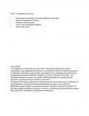 Tarea1 Investigacion comercial