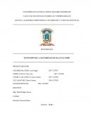 EXTENSIÓN DE LA SEGURIDAD SOCIAL EN EL PERÚ