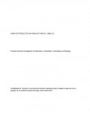 Investigación de mercados. LÍNEA DE PRODUCTOS NATURALES PARA EL CABELLO