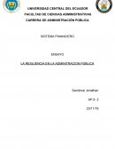 LA RESILIENCIA EN LA ADMINITRACION PÚBLICA