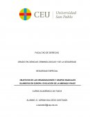OBJETIVOS DE LAS ORGANIZACIONES Y GRUPOS RADICALES ISLAMISTAS EN EUROPA. EVOLUCIÓN DE LA AMENAZA YIHADÍ