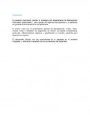Planificación estratégica departamento de Management Information System(MIS)