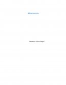 Complejidad en educación superior