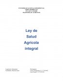 Ley de salud integal