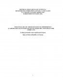 Video Juegos y su influencia en los niños