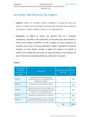 Identificación de Insights