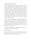 La organizacion en la industria