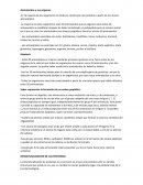 Aminoácidos y sus orígenes