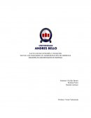 CASO 4: “MIEL AMANDA“