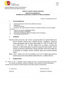 INFORME DE VALORACIÓN A PACIENTE VICTIMA DE AGRESIÓN