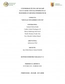 CONSULTA “LISTAS & CONTADORES CON CSS”