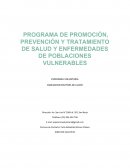 PROGRAMA DE PROMOCIÓN, PREVENCIÓN Y TRATAMIENTO DE SALUD Y ENFERMEDADES DE POBLACIONES VULNERABLES