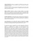 Jerarquía Organizacional