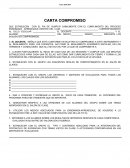 CARTA COMPROMISO CICLO 2018-2019