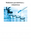 Mediciones Gravimetricas