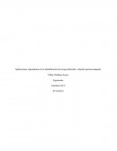 Aplicaciones ergonómicas en la identificación de riesgos laborales, relación persona máquina