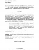 ESCRITO OFRECIMIENTO PRUEBAS AMPARO INDIRECTO