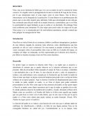 Analisis de Caso: Cisne negro