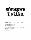 SINDROME X FRAGIL