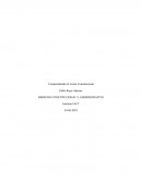 DERECHO CONSTITUCIONAL Y ADMINISTRATIVO