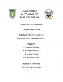 Práctica # 6.1 Determinación del Peso molecular por densidad de vapor
