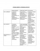 TEORÍAS SOBRE EL APRENDIZAJE MOTOR