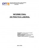 INFORME FINAL DE PRÁCTICA LABORAL